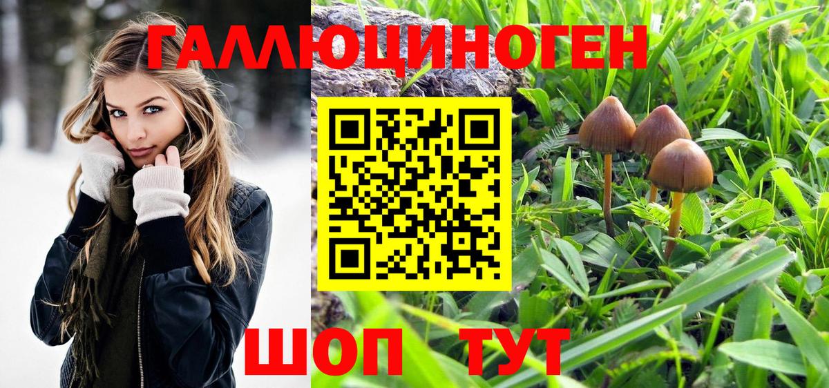 Владикавказ  купить   Вход с VPN  Галлюциногенные грибы GOLDEN TEACHER 