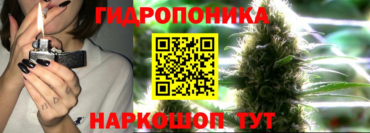 Канабис ГИДРОПОН  Марихуана THC 21%  Вход с VPN  Владикавказ  Бошки марихуана планчик 